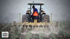 Davos e UE contro gli agricoltori, carestie pianificate a tavolino, ma gli olandesi si ribellano