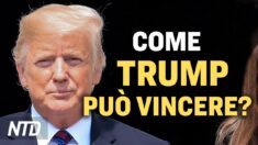 Possibile via per una vittoria alle elezioni di Trump. Politico francese denuncia i legami di Biden