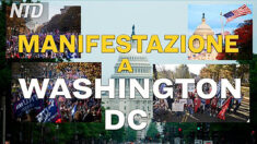 Manifestazione a Washington DC 12 dicembre Parte 2. Reazioni alla decisione della Corte Suprema