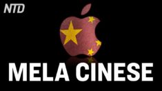 Apple ex paladina della privacy. Il regime cinese potrà accedere ai dati dei clienti di Cupertino