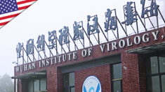 Conflitto di interessi e falsità. Qual è la verità sugli studi nel laboratorio di Wuhan?