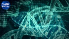 Il regime cinese raccoglie i dati genetici delle donne incinte?